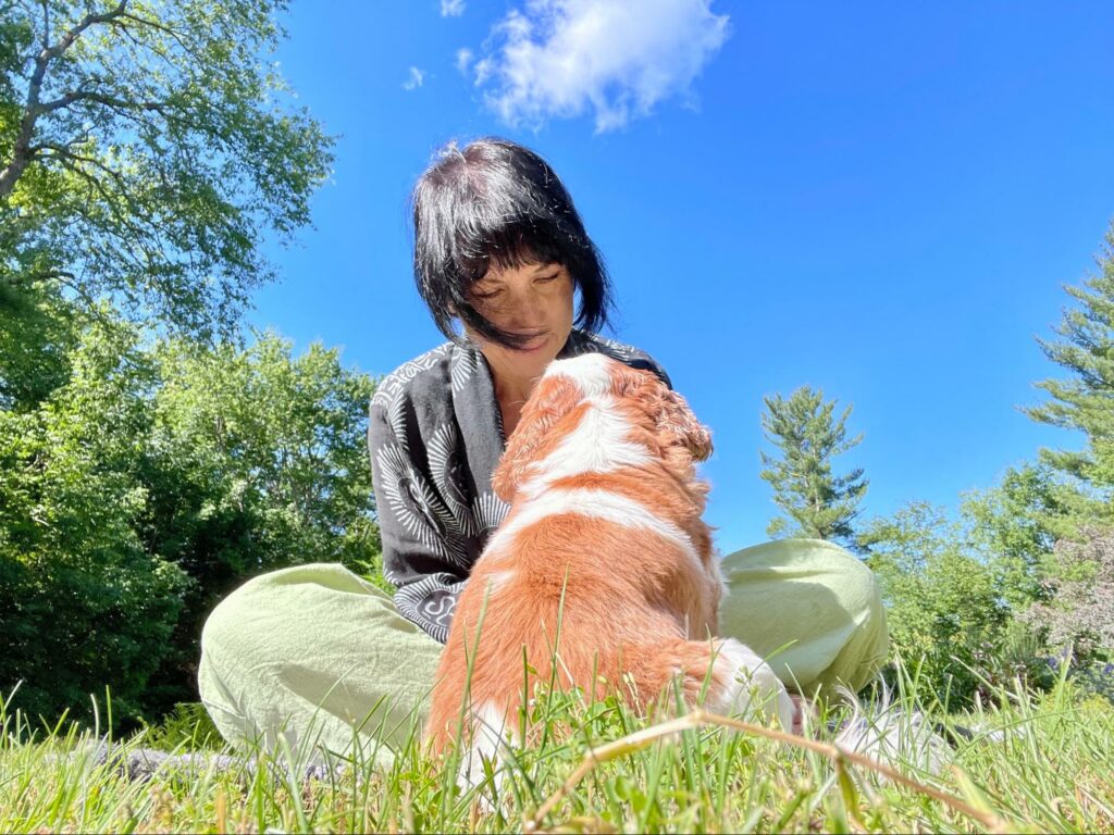 Animal Reiki Classes